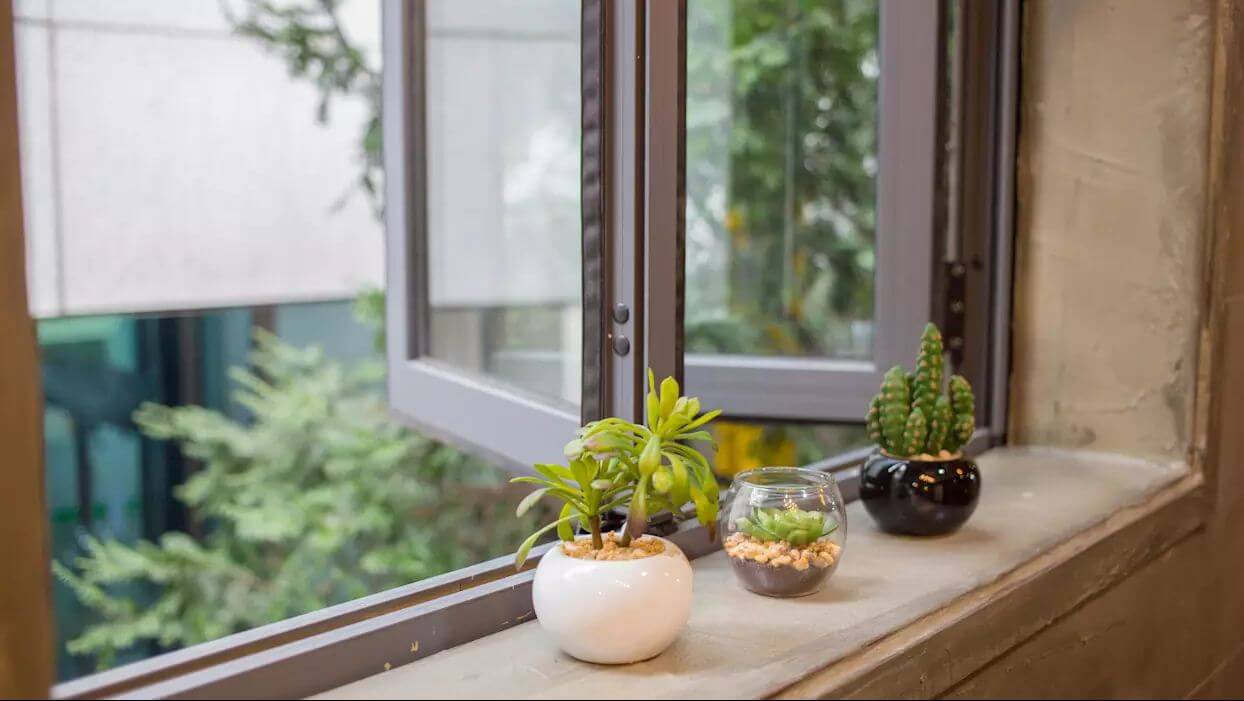 đặt vài chậu cây cảnh nhỏ bên cửa sổ 